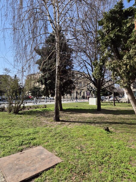 Calea Victoriei, Piata Amzei