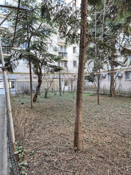 Calea Victoriei, Piata Amzei