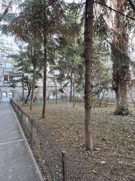 Calea Victoriei, Piata Amzei