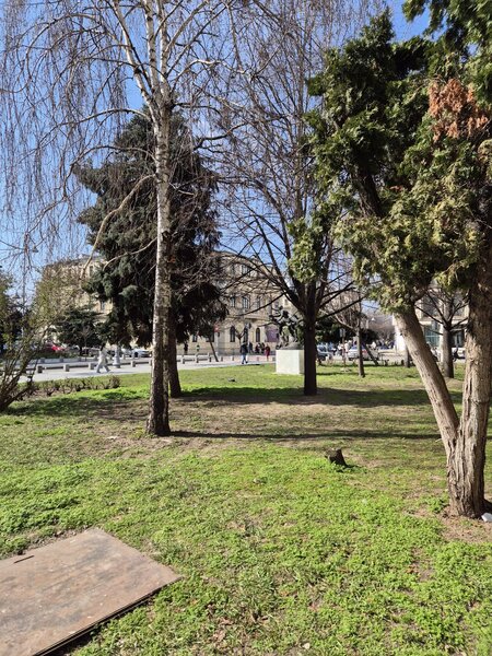 Calea Victoriei, Piata Amzei